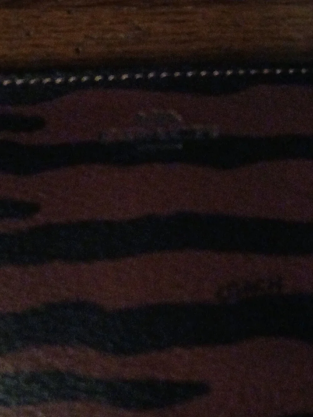 Coach Striped Brown and Black  Accessory Pouch Nwt